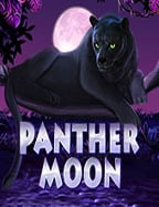 เปิดโลกสวี ท โบ นั น ซ่า เครดิต ฟรี ด้วยความสนุกสุดมันส์